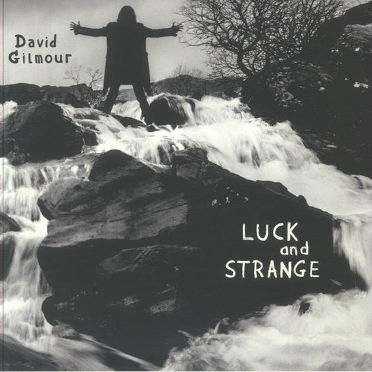 David Gilmour - Luck and Strange (GATEFOLD LP + BOOKLET)