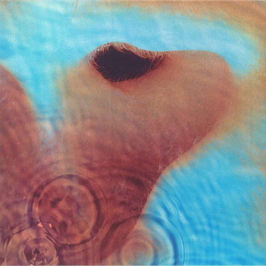Pink Floyd – Meddle (180g LP Remastered)