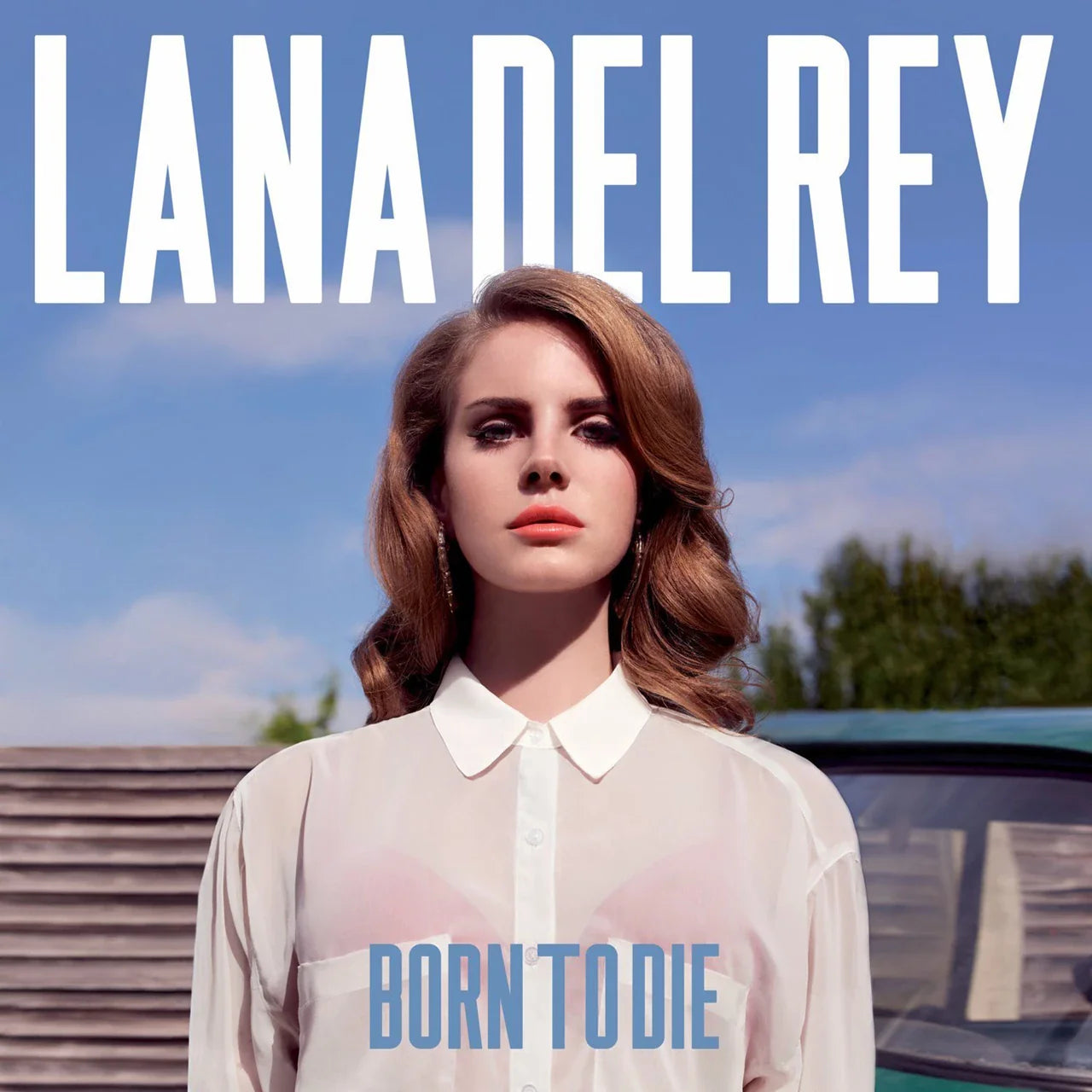 Lana Del Rey Vinyl Records – Albums & Limited Editions on Vinyl