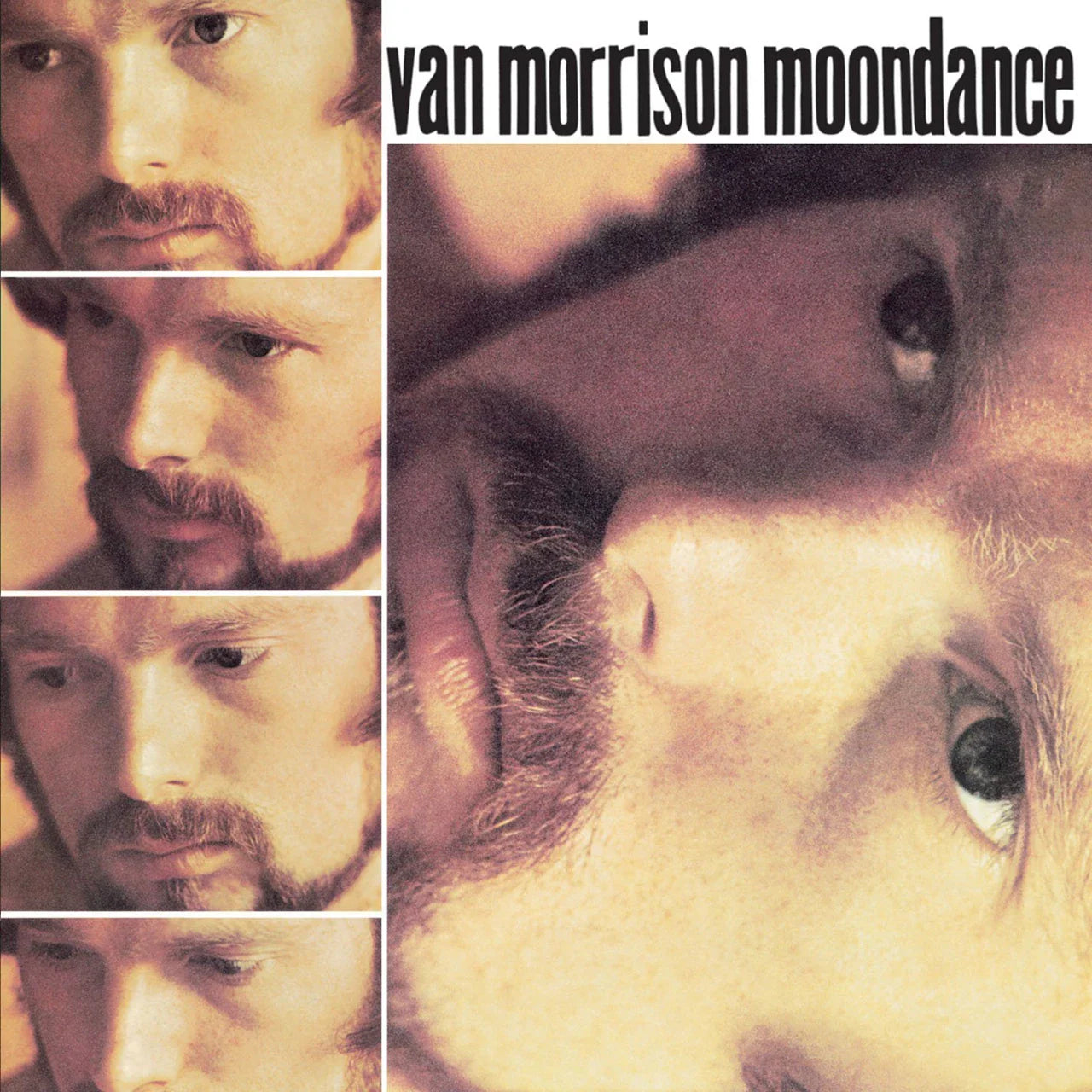 Van Morrison Vinyl Records – Astral Weeks, Moondance & Essential Albums on Vinyl