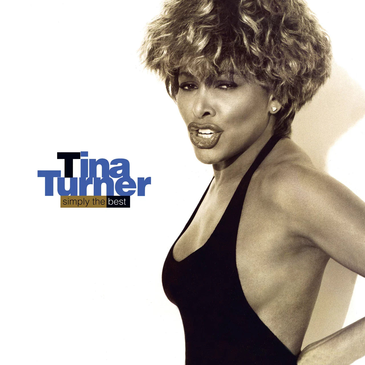 Tina Turner Vinyl Records