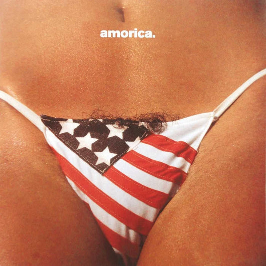 The Black Crowes – Amorica [2LP Vinyl]