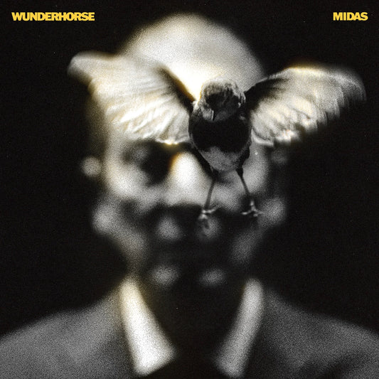 Wunderhorse – Midas [LP Vinyl]