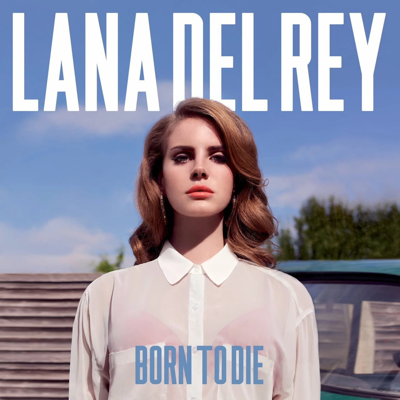 Born to Die by Lana Del Rey [Vinyl LP]