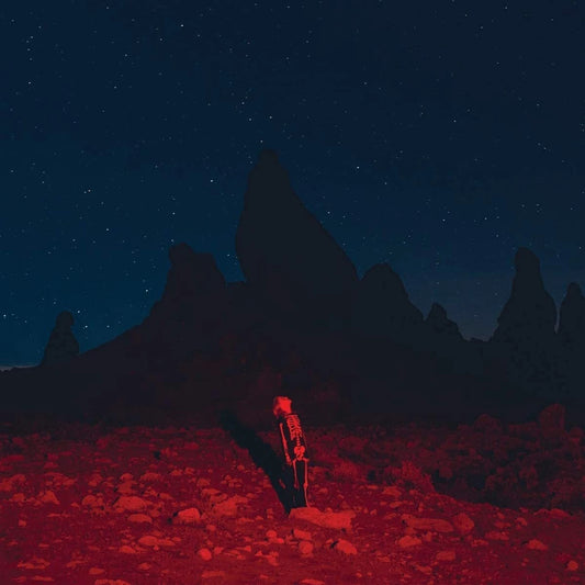 Phoebe Bridgers – Punisher [Vinyl LP]