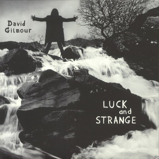 David Gilmour - Luck and Strange [Opaque Silver Vinyl LP - Indie Exclusive]