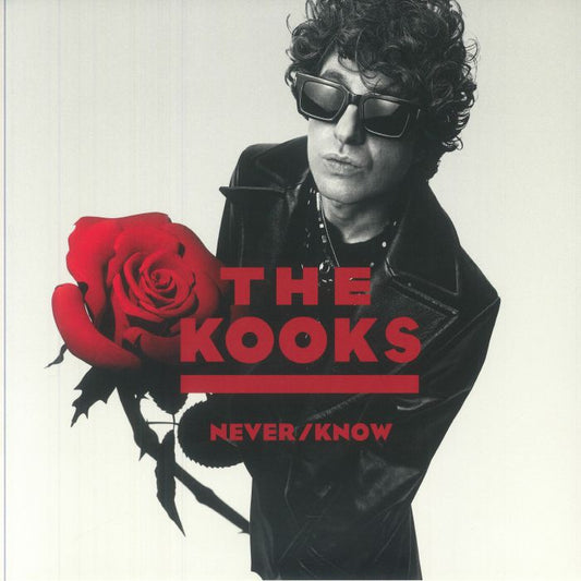 The Kooks – Never/Know (White Vinyl Indie Exclusive) [LP Vinyl]