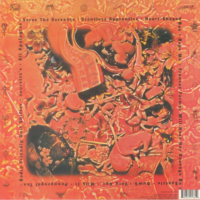 Nirvana – In Utero (Remastered Edition) [180g LP Vinyl]