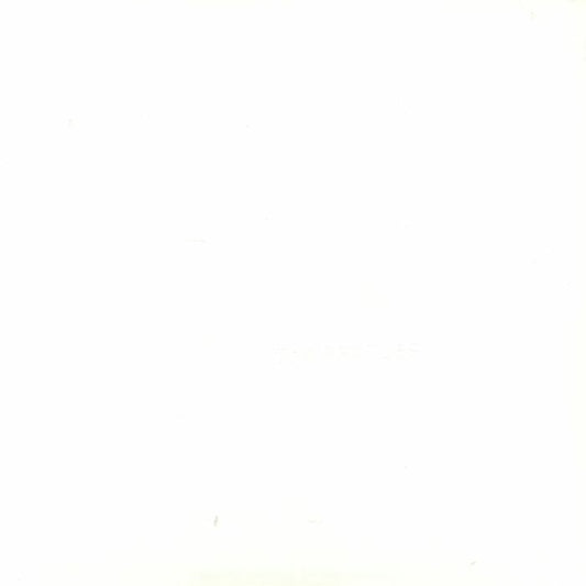 The Beatles – The Beatles: White Album (Anniversary Edition Reissue) [Heavyweight Vinyl 2xLP]