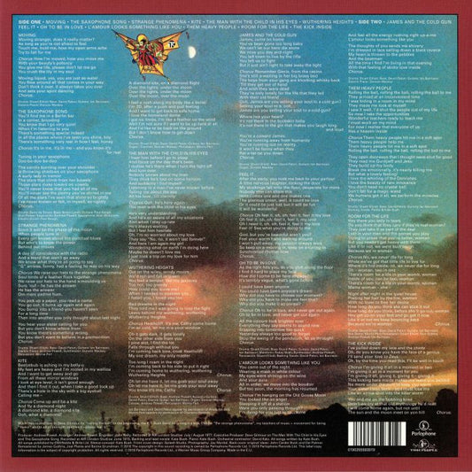 The Kick Inside - Kate Bush (Remastered) [180g Vinyl LP]