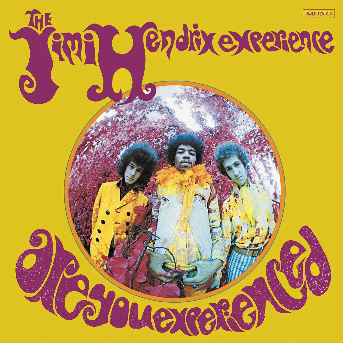 The Jimi Hendrix Experience – Are You Experienced (Mono) [180g Vinyl LP]