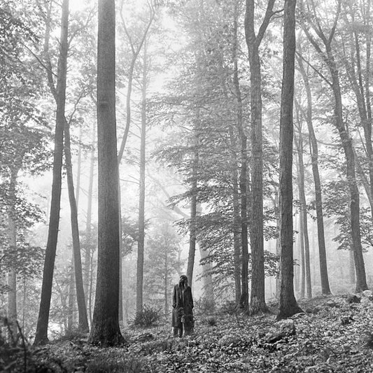 Folklore - Taylor Swift [Vinyl 2×LP]