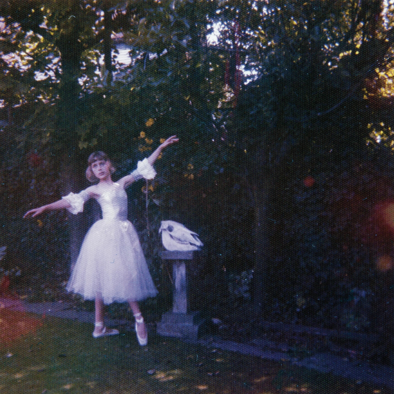 Wolf Alice – Visions of a Life [2x 180g Vinyl LP]