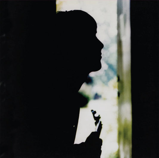 Wild Wood by Paul Weller [Vinyl LP]